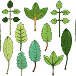 AG真人测试版团队竞技版-AG真人测试版官方唯一认证APP下载安装手机版入口